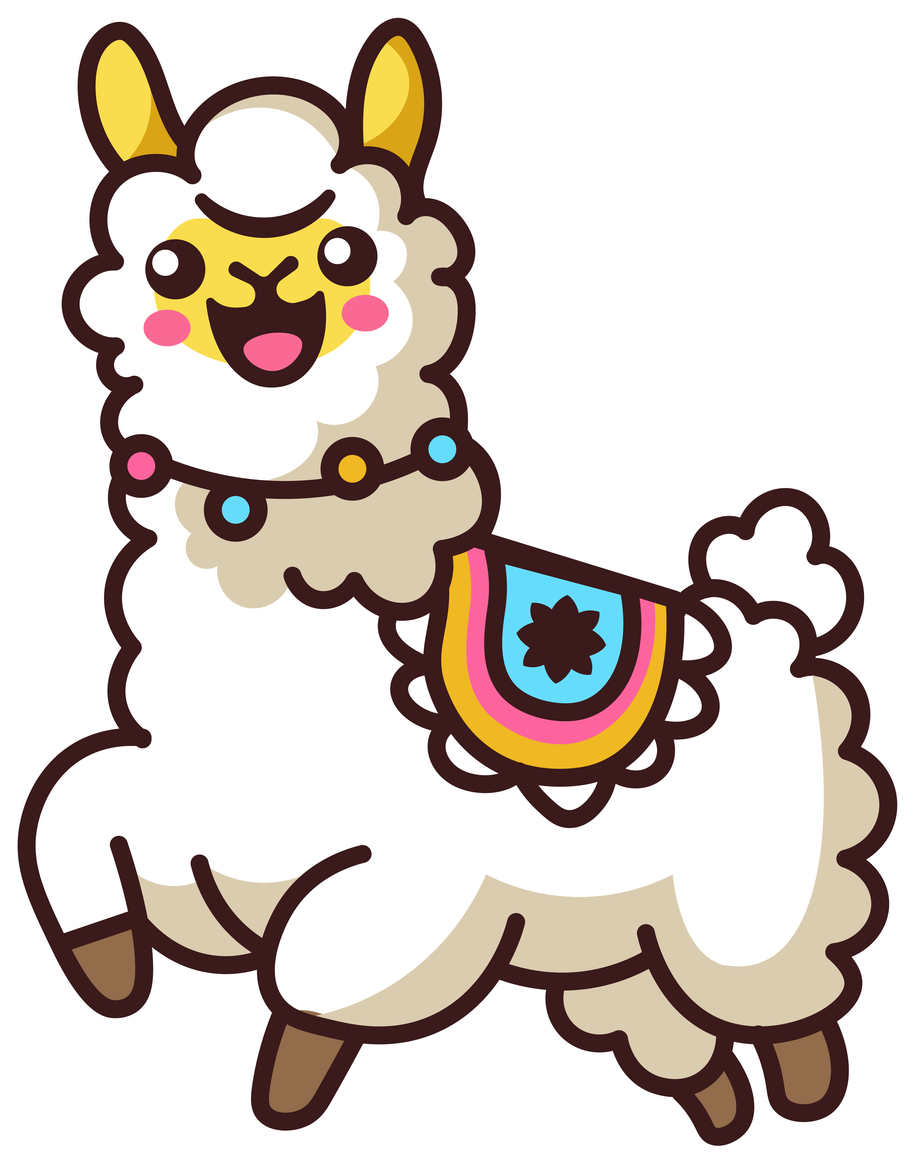 llama right